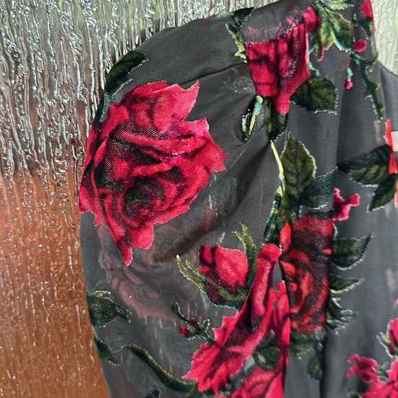 Rachel Parcell Burnout Velvet Dress size 4. - Picture 8 of 13